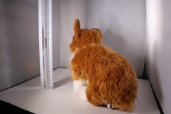 BUCKINGHAM PALACE Plush Dog CORGI Royal Faithful Friends Brown White Soft Sawley