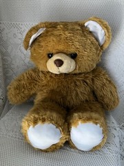 Vintage Teddy Bear Plush 53cm POU002