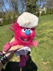 Sesame Street Live Chef Gonger 12″ Stuffed Plush Pink Fuzzy Animal