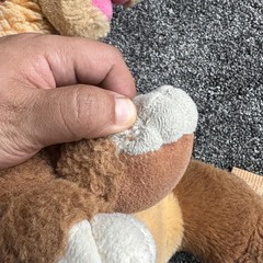 Vintage The Land Before Time Gund Plush Stuffed Animal Small Jcpenny 80s