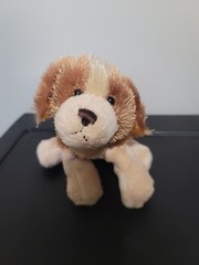 Webkinz Ganz Cocker Spaniel Plush Puppy Dog Stuffed Animal Toy HM011 Tan 8″