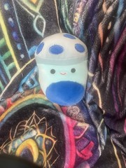 Squishmallows Original Ankur Teal Mushroom New But Without Tags…Fuzzy Spot