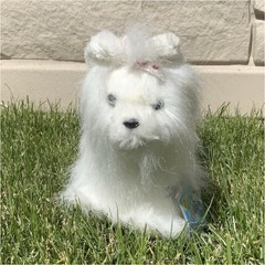 GANZ Webkinz White/Pink Dog Plush HM110 With Tags 2005 Small (6-14 in)