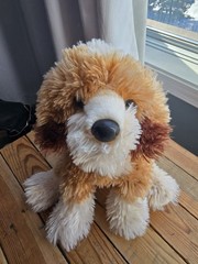 Douglas Toy Buttercup Doodle Dog 12” Plush Stuffed Animal Labradoodle Puppy Mix