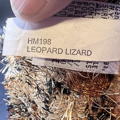 Webkinz Leopard Lizard Gecko Plush Ganz Stuffed Animal NO CODE 13″ HM189 Vintage