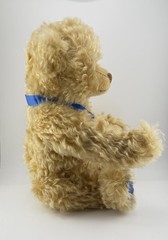 Steiff Queen Elizabeth II Coronation Commemorative Teddy Bear Limited Edition