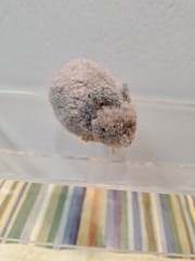 Vintage STEIFF 1950s-60s Woolen Mouse Grey Woolie 2in