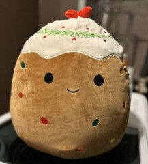Squishmallows 16 Inch Maldon The Fruit Cake Christmas 2024 NEW w Tag Fruitcake