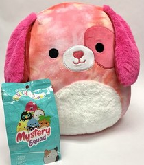 SQUISHMALLOWS: Detina 14inch + Mystery Squad *New*