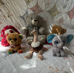 6 Plush 3 are TY Beanie Babies + VTG Large teddy, DG red puppy & Toms toys Val