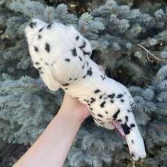 Douglas Cuddle Toys Evie Dalmatian Puppy Stuffed Animal #1923