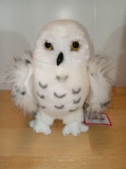 Douglas Wizard the Snowy Owl 10” Plush 2017 Model NWT Cuddle Toy