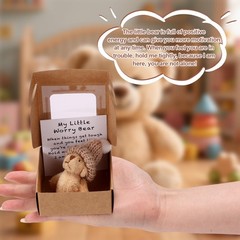Mini Plush Worry Bear with a Hat, Handmade Positive Small Plush Bear in a Box wi