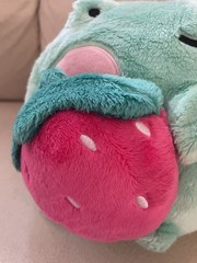 Shopzoki Ebbo Frog Strawberry Plush (NO TAGS)