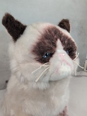 Gund Grumpy Cat 10″ Soft Plush Stuffed Animal 4040133
