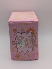 Liila’s Garden Tea Party Mini Plush Keychain Blind Box