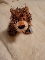8″ Webkinz Ganz NWT HM031 LEOPARD New Sealed Code Fast Shipping