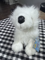 RETIRED Webkinz Samoyed White Plush Dog-Sealed Adoption Code-Ganz-HM176-NEW
