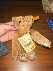 Steiff Mohair Teddy Bear with Leather Muzzle Harness – 6–7 Inches (Ref.268)