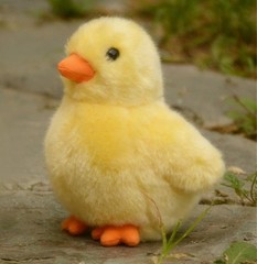 Baby Chicken Chick 5 Inch Stuffed Animal Plush Toys Toddler Doll Kids Gifts