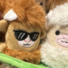 Relatable Emotional Support Pals Highland Cow Plush Set Green Bed 2025 Small