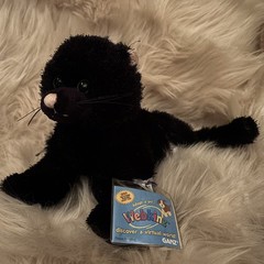 Webkinz Black Cat HM135 New Sealed Original Code NWT