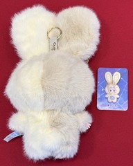 Authentic Mocici Cookie Bunny, Box/Foil Bag Not Included