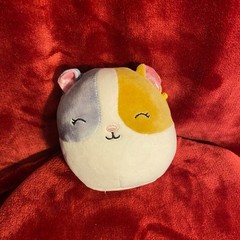 Squismallows 5″ Pax the Hamster Plush Tricolor Calico Kellytoy READ