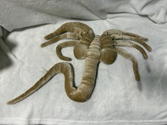 VINTAGE THINKGEEK ORIGINAL ALIENS PLUSH FACEHUGGER POSEABLE LIMBS