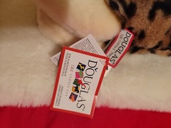 TASHETTE the Plush BENGAL CAT Stuffed Animal – by Douglas Cuddle Toys – #1862