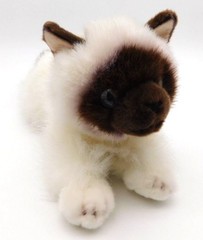 Aurora Plush Himalayan Cat Kitten Flopsies Bella Blue Eyes Brown Cream 12″