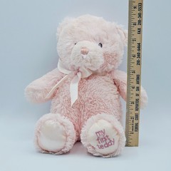 Baby Gund My First Teddy Pink Bear Plush Stuffed Animal 4043949 Embroidered Eyes