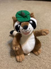 Vintage 90s Ranger Rick Raccoon 8” Plush Animal National Wildlife Federation