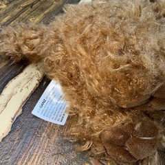 Ganz 2025 Webkinz Next Cockapoo Plush NEW WK000024 Dual 2 Adoption Codes Gen3