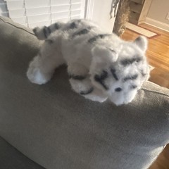 White Tiger Plush Stuffed Animal Toy Medium White Black 14-24 Inch