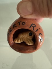 Puerto Rico Nest With Turtle Sovereign