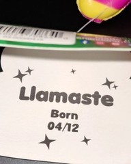 Llamaste Llama Grin Amazing Squishees Born 04/12 Foodie Friends Sweets NEW