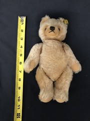 STEIFF ORIGINAL TEDDY BEAR 10 INCHES TALL 0201/36 W/TAG ON EAR, Clean Condition