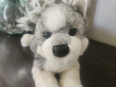 Sasha 10” Siberian Husky Douglas Plush Stuffed Animal Dog Cuddle Gray White Wolf