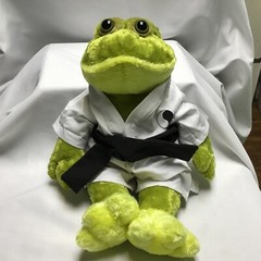 Dan Dee Frog Buttery Soft Plush Dress Me 18” Karate Outfit