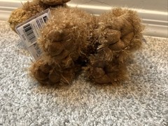 NEW Webkinz Cockapoo WK00024 Ganz Plush 2 Unused Adoption Codes Classic & Next