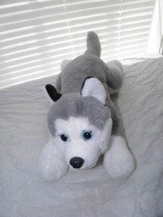 FAO Schwarz Husky Dog Cuddly Ultra-Soft Fur 13″ Stuffed Animal Plush Toy