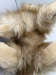 E&J Classic 20” Sitting Plush Cream Orange Cat Shaggy Hairy Furry Prima E & J