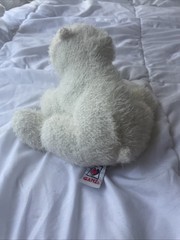 Webkinz Polar Bear HM116 No Code