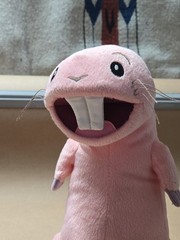 Kim Possible Rufus Plush Naked Mole Rat Talking Toy Equity Disney