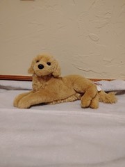 Douglas Plush dog retired Sophie laying golden retriever, no flaws