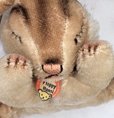 Vintage Steiff Floppi Hansi • Sleeping Mohair Bunny • 1950s • Cardboard Tag
