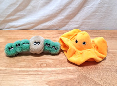 Lot of 2 GIANT Microbes Plasma and Algae Plush Toys Science Learning Teacher