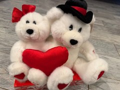 Kids Of America Valentine Couple Teddy Bear Plush Stuffed Animal NeW Singing Toy