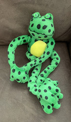 14″ Long Frog Stuffed Animal Hook & Loop Hands & Feet by Fiesta